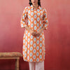 Multicolor Ikkat Printed Straight Kurta